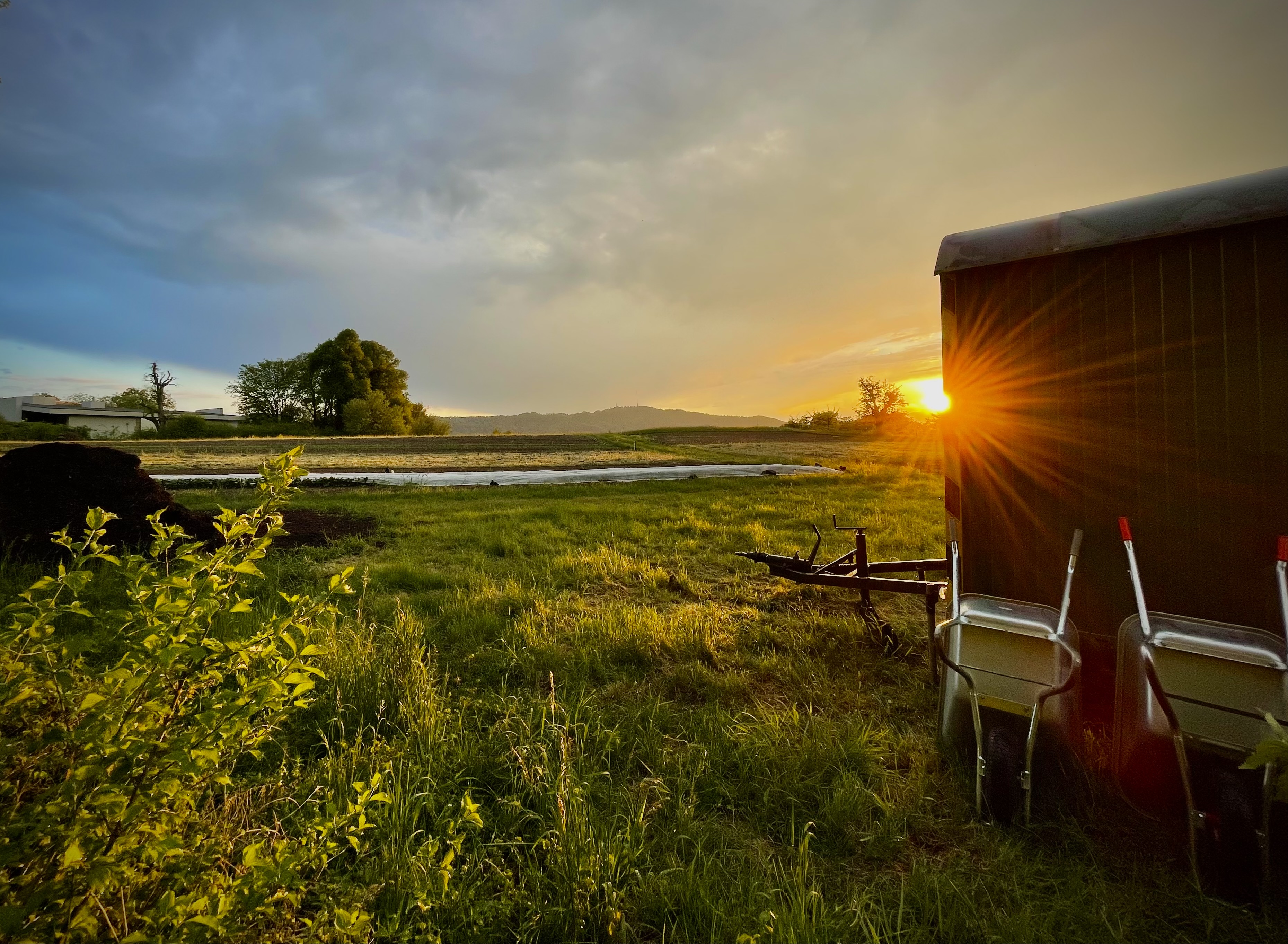 Abendstimmung Bauwagen