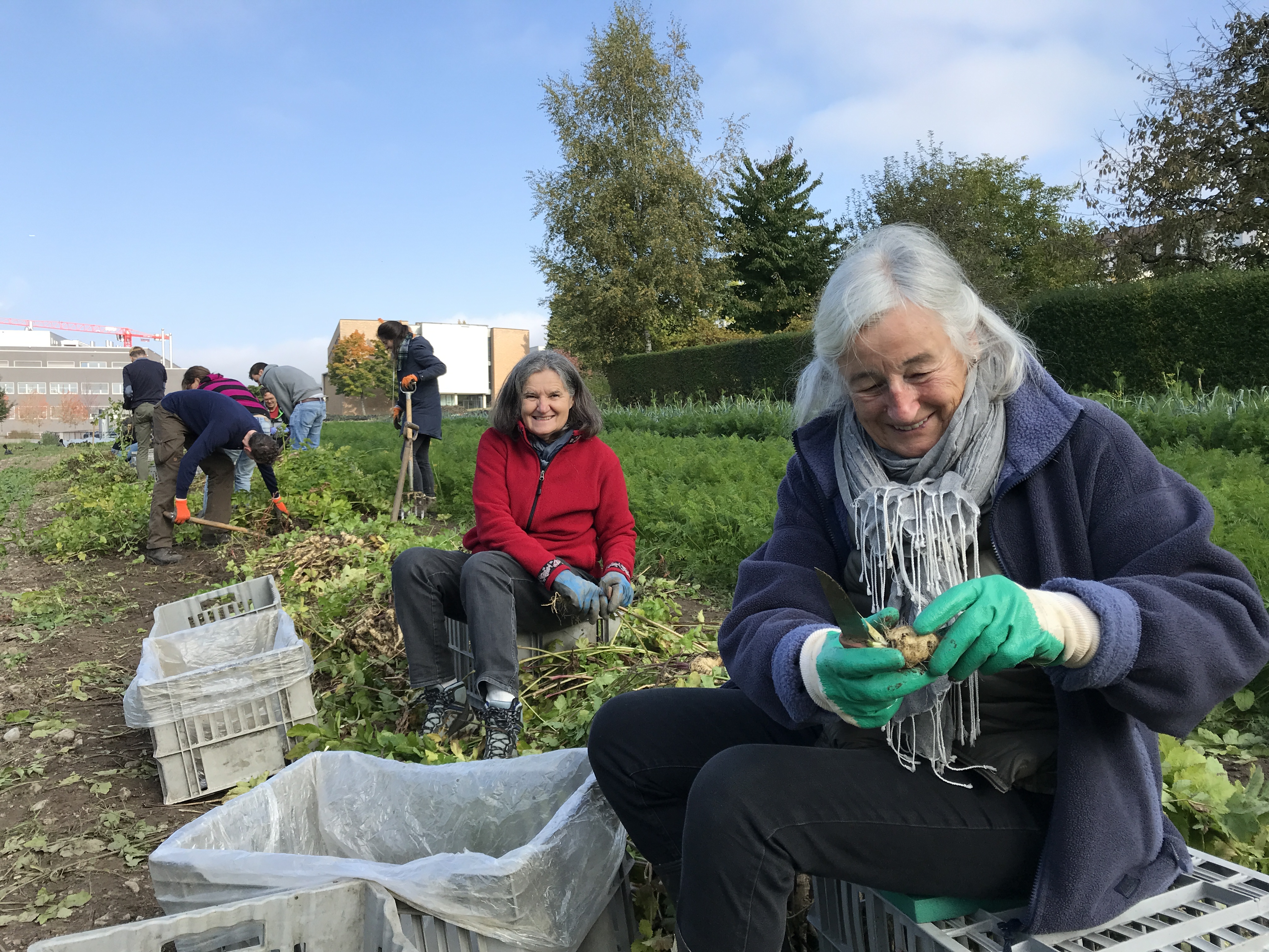 Mitglieder auf dem Feld am Arbeiten